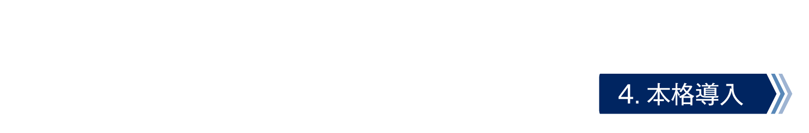 本格導入